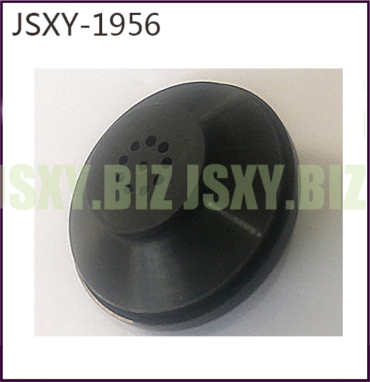 JSXY-1956