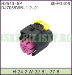 JSXY-H2543-5P