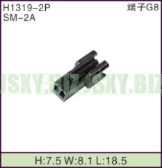 JSXY-H1319-2P