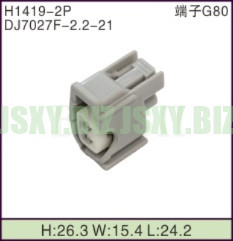 JSXY-H1419-2P